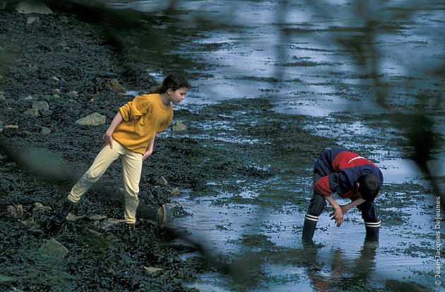 Pêche à pied