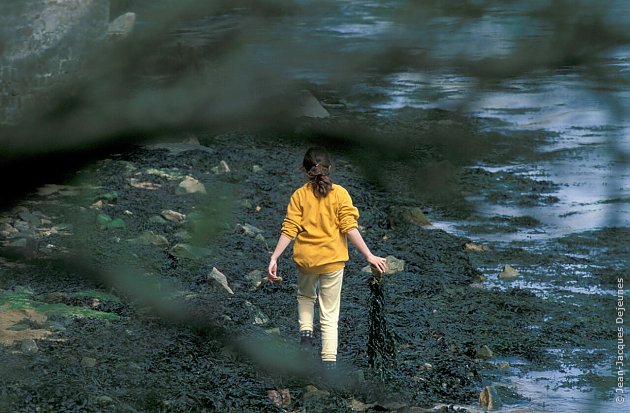 Pêche à pied 4