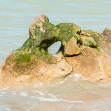 Le baiser mouillé