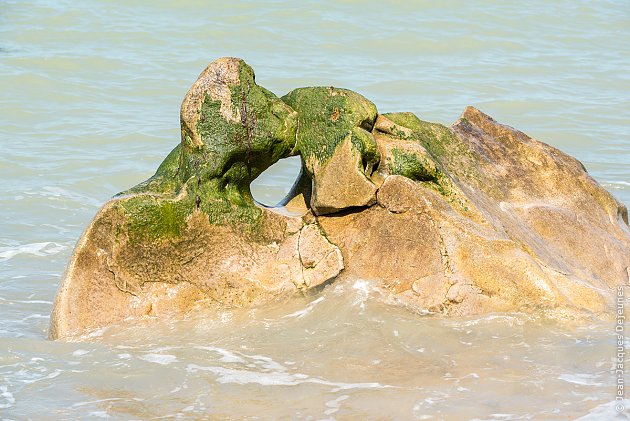 Le baiser mouillé