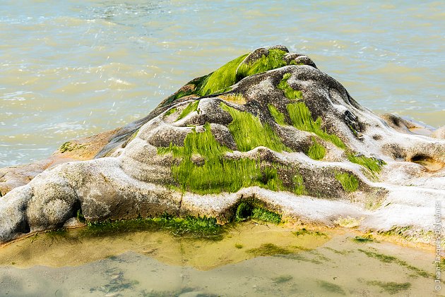 Une île improbable