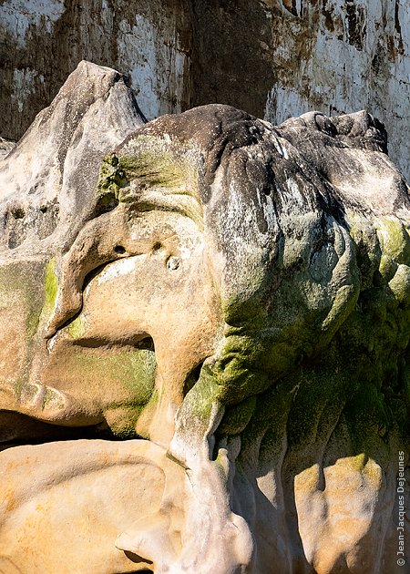 Singe et oiseau coiffé d'une chouette