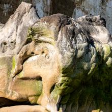 Singe et oiseau coiffé d'une chouette