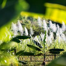 Chemin faisant