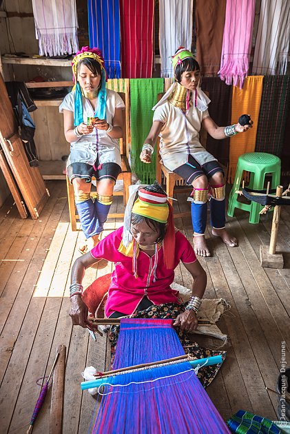 Atelier de soie et lotus