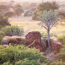 Old Bagan