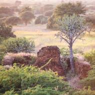 Old Bagan