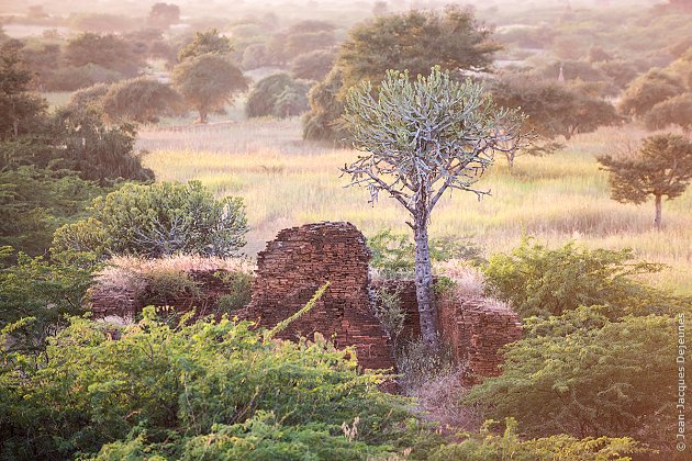 Old Bagan