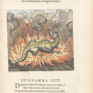 Emblème XXIX, Atalanta Fugiens, Michael Maier, 1617