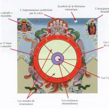 Schéma d'une Roue de la vie moderne
