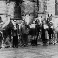 1952 - Concours de chevaux