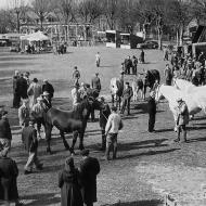 1952 - Foire aux chevaux sur le Champ de foire
