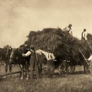 1930 - Chargement d'une charrette de foin