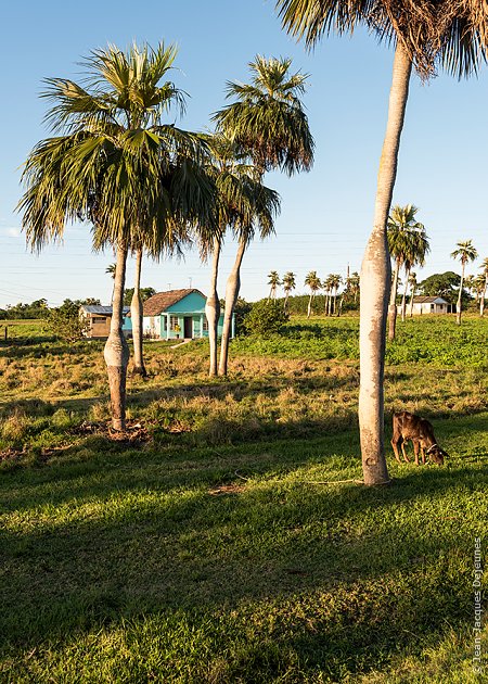 Vallée de Viñales