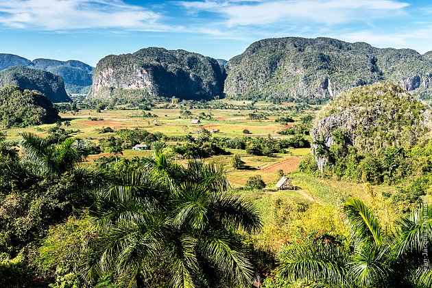 Vallée de Viñales