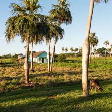 Vallée de Viñales