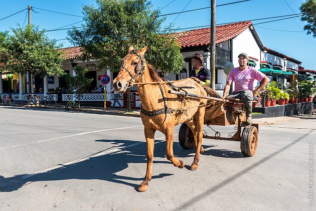 Viñales