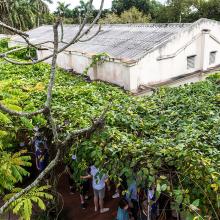 La Finca Vigía