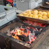 Pommes de terre en robe des champs
