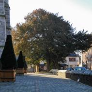 Parvis de l'église