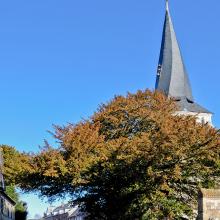 L'if et l'église Saint-Ouen