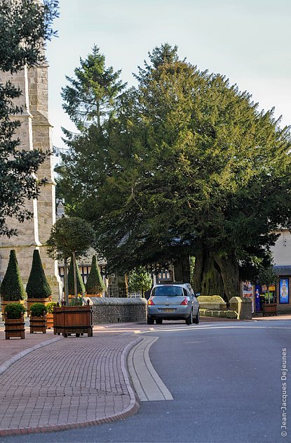 Rue Jehan-Véron