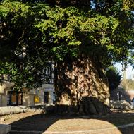 Entrée par le portail de l'ancien cimetière