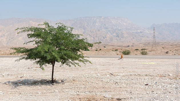 Vers Bandar-e Kangân