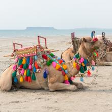 Sur la plage