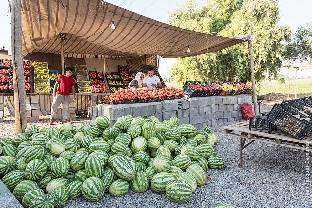 Vers Choqâ Zanbil