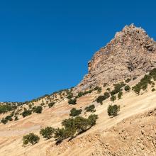 Les monts Zagros