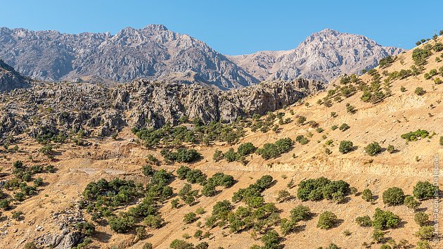 Les monts Zagros