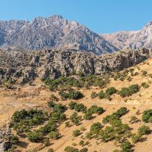 Les monts Zagros