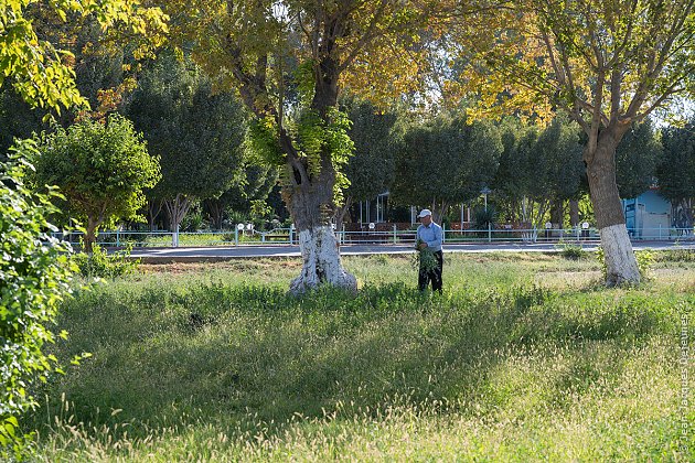 Mausolée Tchachma Ayoub