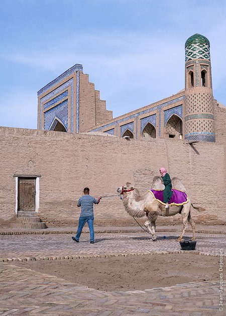 Visite à dos de chameau