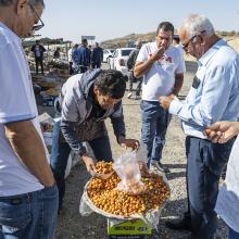 Autour d'un vendeur de kakis