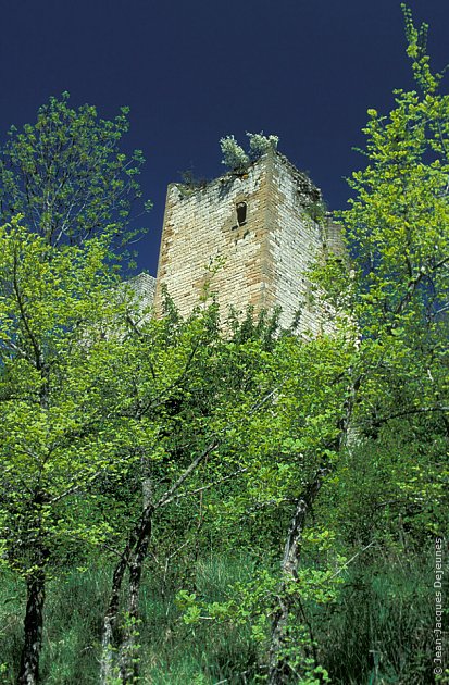 Château de Puivert