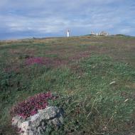 Lande, ruines et amer 2