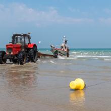 Quiberville-sur-Mer