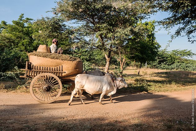 Birmanie - Inwa