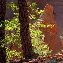 Roussillon