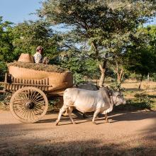 Birmanie - Inwa