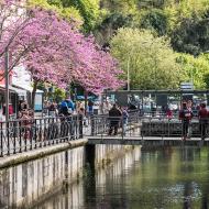 Quimper