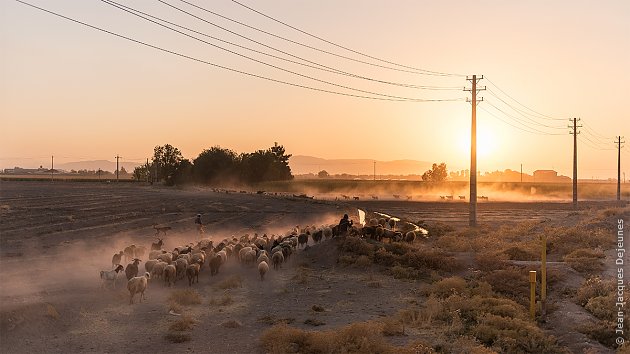 Iran - Plaine de Fârs