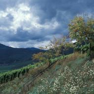 Avant l'orage