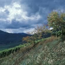 Avant l'orage