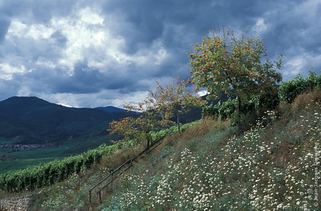 Avant l'orage