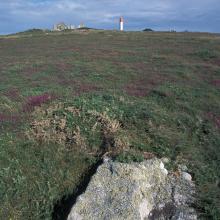 Lande, ruines et amer