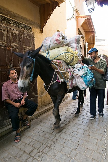 Fès