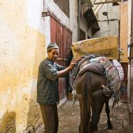 Fès